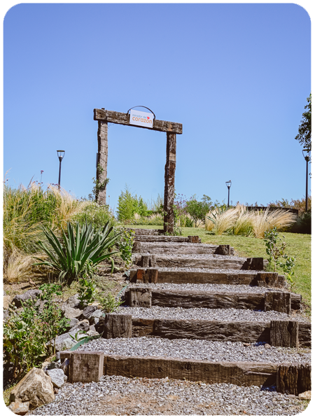 Mirador-del-corazón-servicios